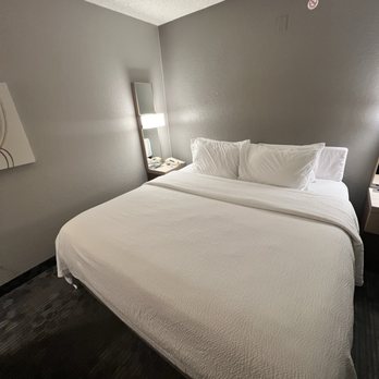 Courtyard Tampa Brandon - Hotels Near Me - Tampa, Florida Courtyard Tampa Brandon - Hotels Near Me - Tampa, Florida
