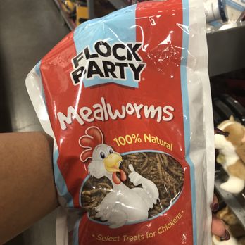 Tractor Supply - Snacks for our babies.! - Department Stores Near Me - Fresno, California