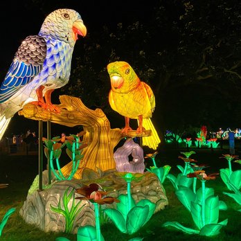1. Zoo Lights at the Buffalo Zoo