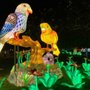 Photo of Zoo Lights at the Buffalo Zoo