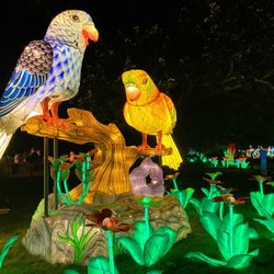 Zoo Lights at the Buffalo Zoo