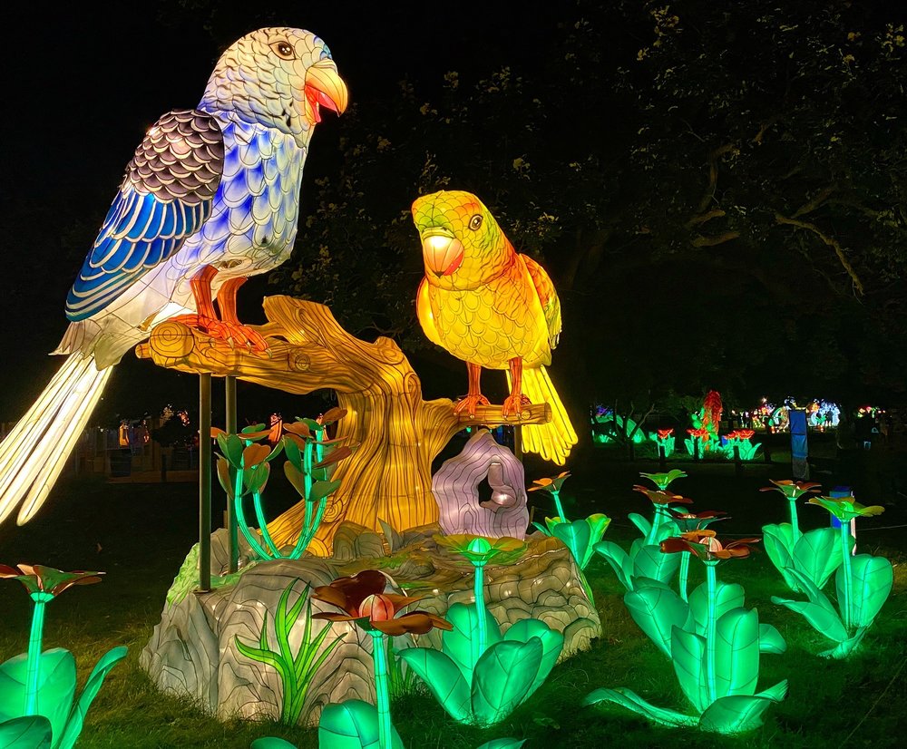 ZOO LIGHTS AT THE BUFFALO ZOO - Updated November 2024 - 70 Photos - 300