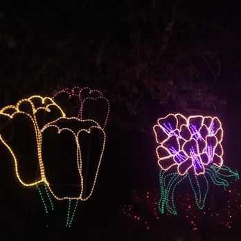 Shore Acres State Park - Flower lights in the garden - Parks Near Me Shore Acres State Park - Flower lights in the garden - Parks Near Me