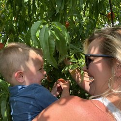 Shady Brook Peaches