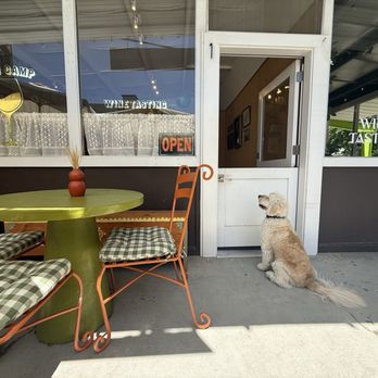 High Camp Wines - Dodger waiting for his next tasting - Venues & Event Spaces Near Me - Paso Robles, California High Camp Wines - Dodger waiting for his next tasting - Venues & Event Spaces Near Me - Paso Robles, California
