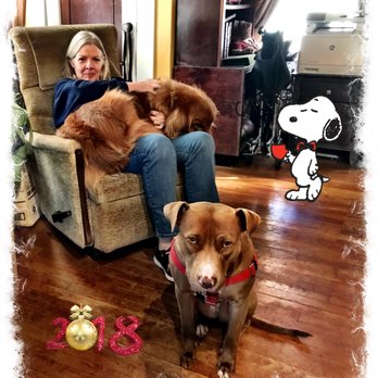 Tampa Metro Pets - Karen is more than dog walker or pet sitter. She's a dog lover! - Dog Walkers Near Me - Tampa, Florida Tampa Metro Pets - Karen is more than dog walker or pet sitter. She's a dog lover! - Dog Walkers Near Me - Tampa, Florida