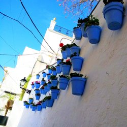Old Town - Marbella Old Town 2-9-18