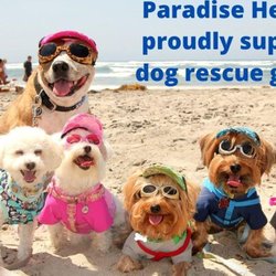 Paradise Hearing