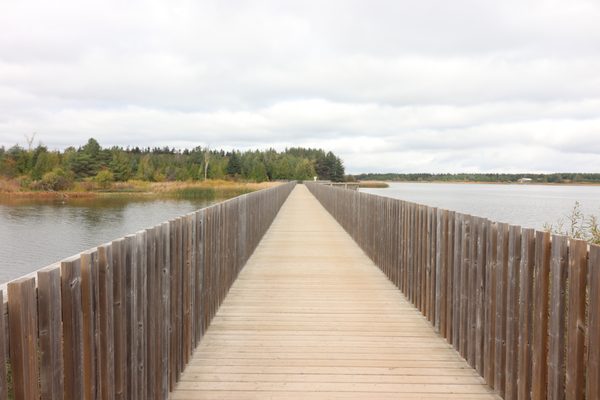 Island Lake Conservation Area by null