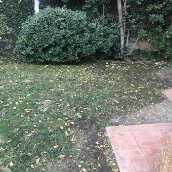Greenview Turf - Before - Artificial Turf Near Me - Northridge, California