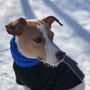 Photo of Elm Creek Off Leash Dog Park