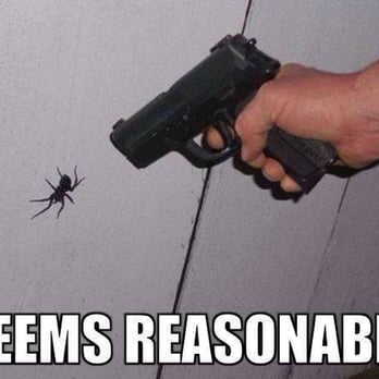 Hunter Pest Control - Pest Control Near Me Hunter Pest Control - Pest Control Near Me
