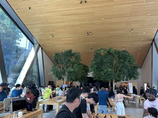 Apple Downtown Brooklyn by null