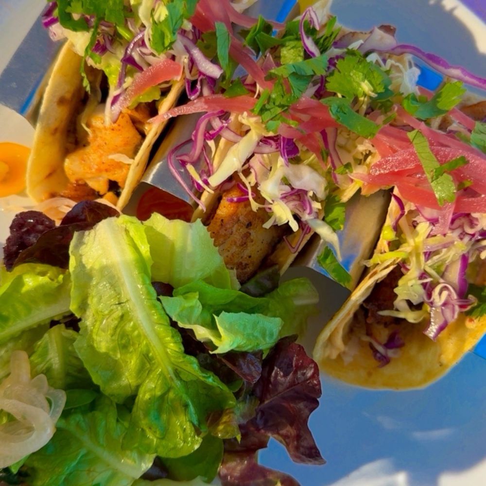 Gracie - Fish Tacos - Cocktail Bars Near Me - Santa Barbara, California Gracie - Fish Tacos - Cocktail Bars Near Me - Santa Barbara, California