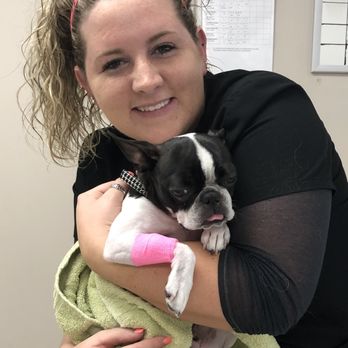 The Pet Wellness Group: Hebron - Veterinarians Near Me - Hebron, Kentucky