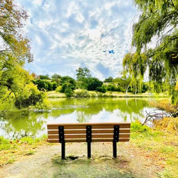 Ed R. Levin County Park - Dog Parks Near Me - Milpitas, California