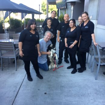 Yard House - New American Near Me - Northridge, California Yard House - New American Near Me - Northridge, California