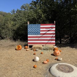 Owl Creek and Pumpkin Patch - Whoever organized this, should be brought up on charges...like right to jail.