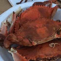 Wissinoming Yacht Club - All you can eat crab night