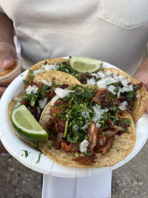 Maria's Kitchen by null