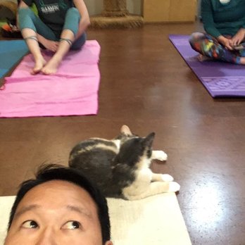 The Cat Cafe - Coffee & Tea Near Me - San Diego, California The Cat Cafe - Coffee & Tea Near Me - San Diego, California