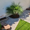 Medina's Gardening gift card