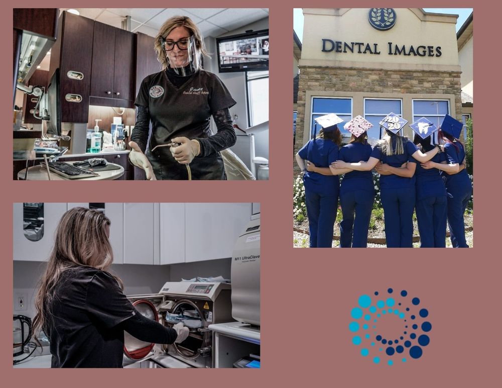 DENTAL STAFF SCHOOL KNOXVILLE Updated August 2024 32 Photos