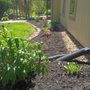 Photo of Peck's Yard and Home Services