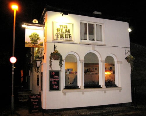 The Elm Tree by null