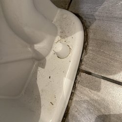 Smart Gym - The 3rd bathroom that looks like this. These are all different toilets.
