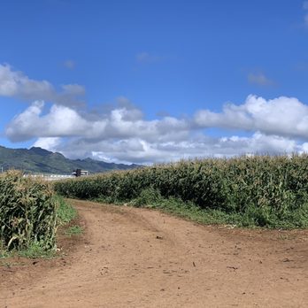 Aloun Farms - Farms Near Me - Kapolei, Hawaii