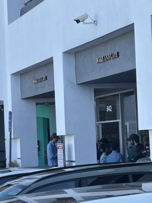 WAKE AND LATE — HOLLYWOOD by null