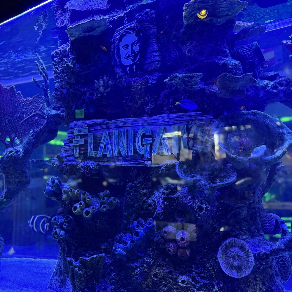 Flanigan's Seafood Bar & Grill - Indoor Aquarium - New American Near Me - Miami Beach, Florida