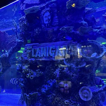 Flanigan's Seafood Bar & Grill - Indoor Aquarium - New American Near Me - Doral, Florida