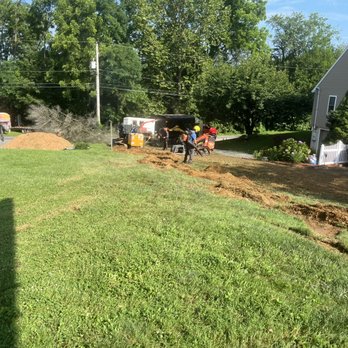 Upland Timber Tree Service - Stumps all ground - Tree Services Near Me Upland Timber Tree Service - Stumps all ground - Tree Services Near Me