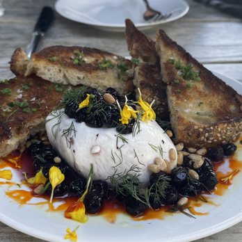Blue Ridge Kitchen - burrata - Southern Near Me - Sebastopol, California Blue Ridge Kitchen - burrata - Southern Near Me - Sebastopol, California