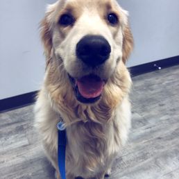 Waiting to see Dr.Kautz for a check up!