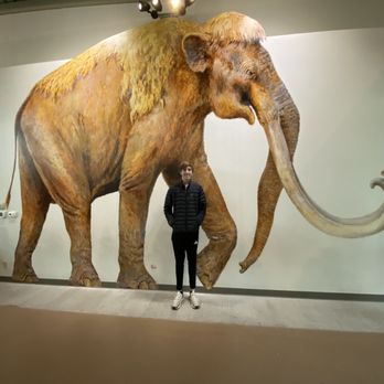 Waco Mammoth National Monument - Awesome mural for scale. - Museums Near Me - Waco, Texas