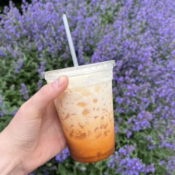 Tiny Thai - Thai tea - Thai Near Me - Buffalo, New York