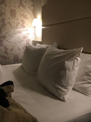 DoubleTree by Hilton Hannover Schweizerhof by null