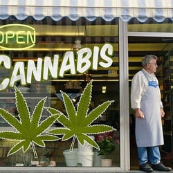 CANNx - Making Compassionate Connections