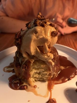 Shy Bird - Fenway by null