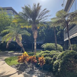 Spine & Sport Physical Therapy - Kearny Mesa - Spine & Sport Physical Therapy outside
