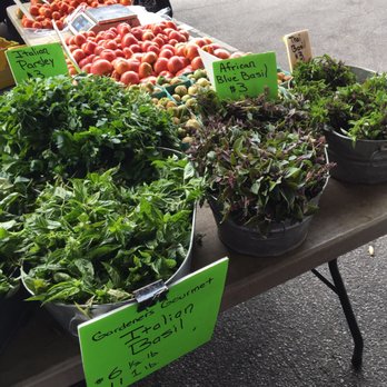 Baltimore Farmers' Market & Bazaar - Interesting greens - Farmers Market Near Me Baltimore Farmers' Market & Bazaar - Interesting greens - Farmers Market Near Me
