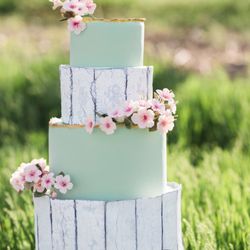 Carisa's Cake Company - Handmade gumpaste blossoms, weathered wood panels, all edible.
