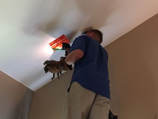 Wildlife Control - We offer a wide variety of wildlife removal services.  We remove birds, squirrels, racoons, groundhogs, skunks, groundhogs and bats.  Additionally, once the are removed we offer exclusion and sanitation services.