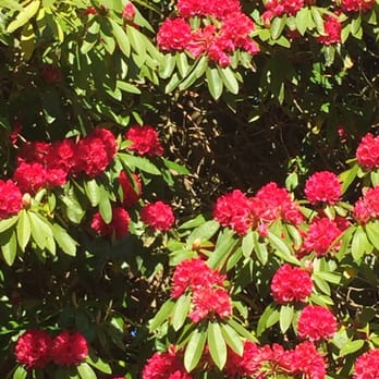 Logan Botanic Garden - Botanical Gardens Near Me