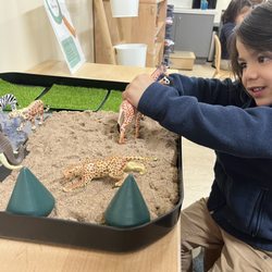 Woodland School - Early childhood interest area