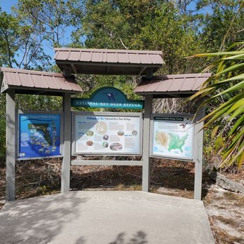 Blue Hole Observation Platform - Hiking Near Me - Big Pine Key, Florida