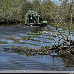New Orleans Airboat Swamp Tours